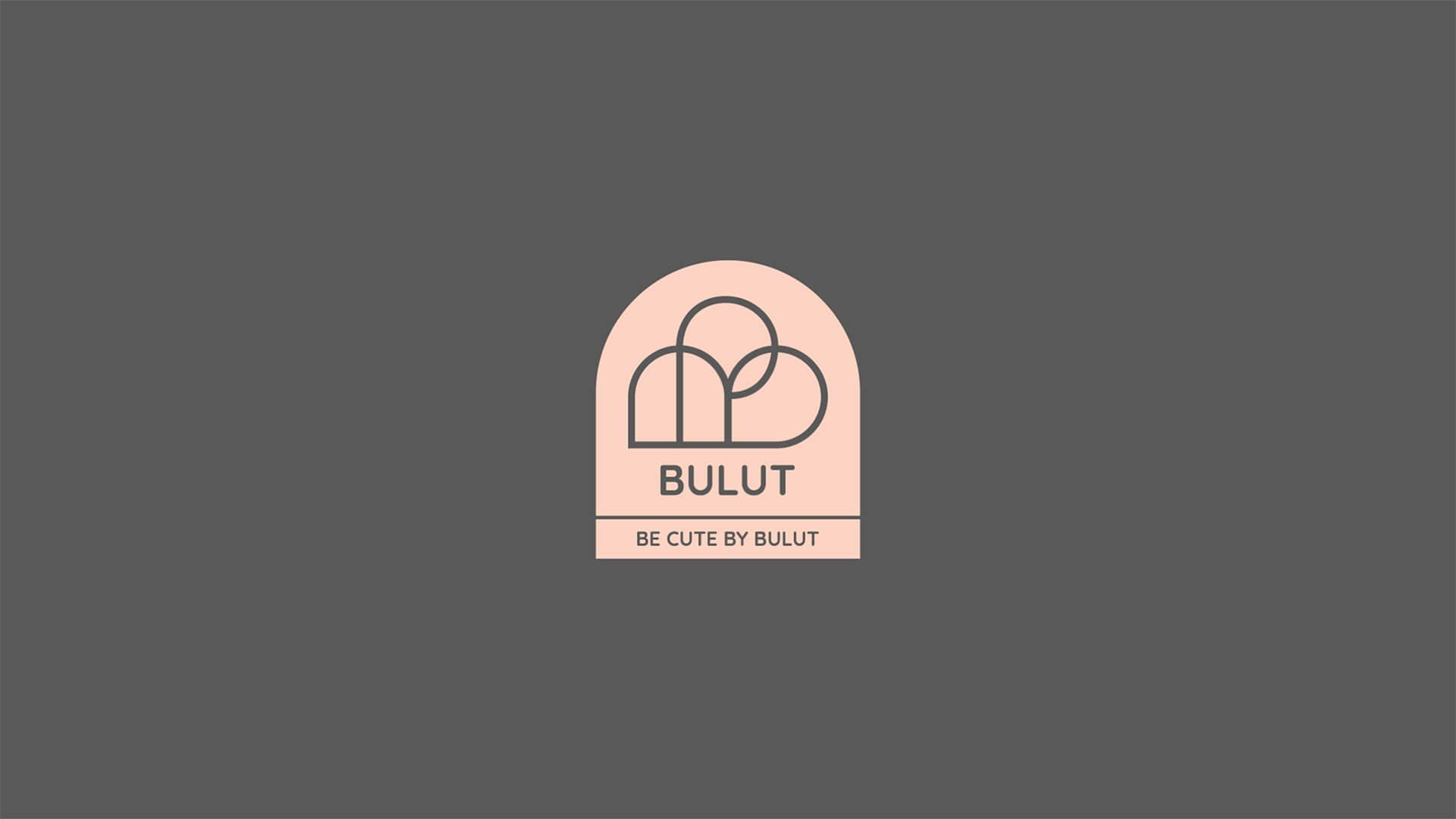 bulut branding project zen branding agency آژانس برندسازی ذن طراحی هویت بصری بولوت (6)-min